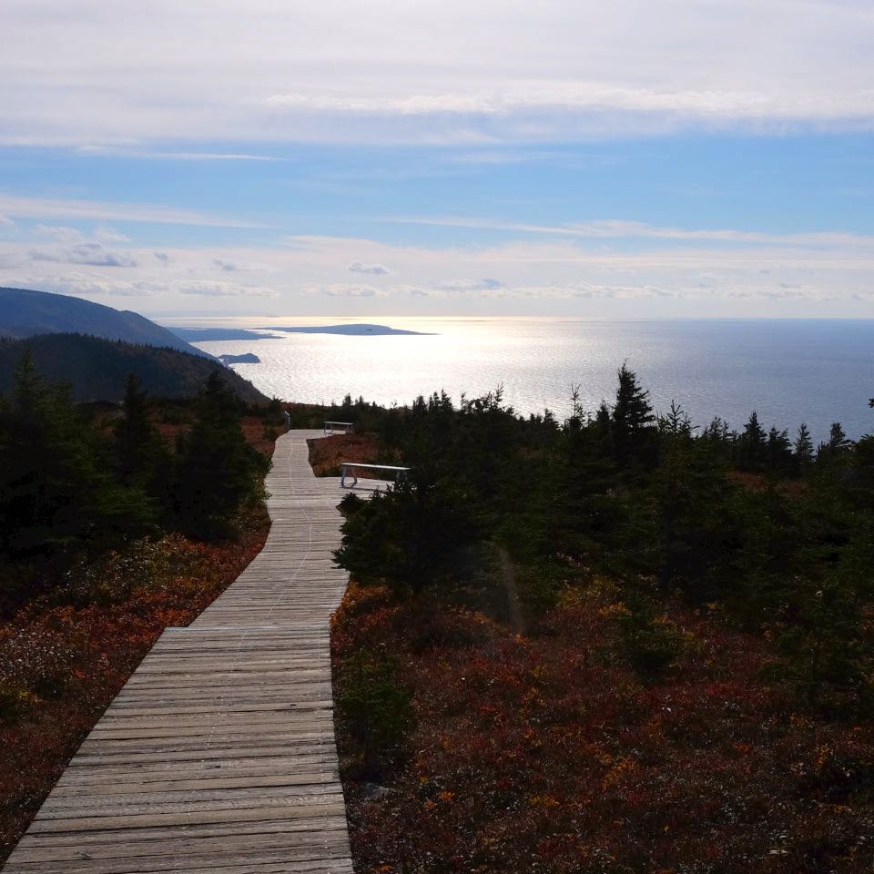 anbt_ueber uns mission_low right 1